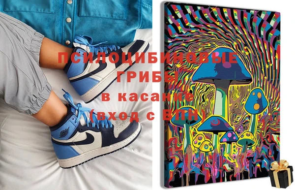 apvp Белокуриха