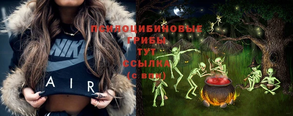 молекула духа Беломорск
