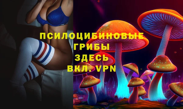 молекула духа Беломорск