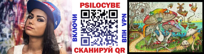 Галлюциногенные грибы GOLDEN TEACHER  наркошоп  MEGA вход  Борзя 
